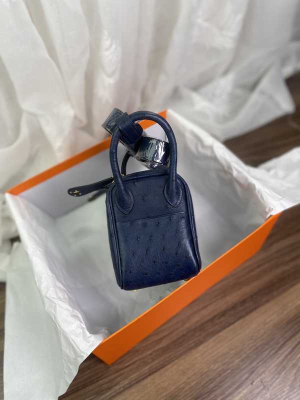 Ostrich Lindy 19 Ostrich Lindy 19