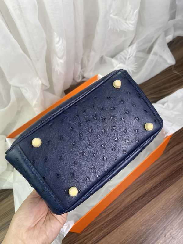 Ostrich Lindy 19 Ostrich Lindy 19