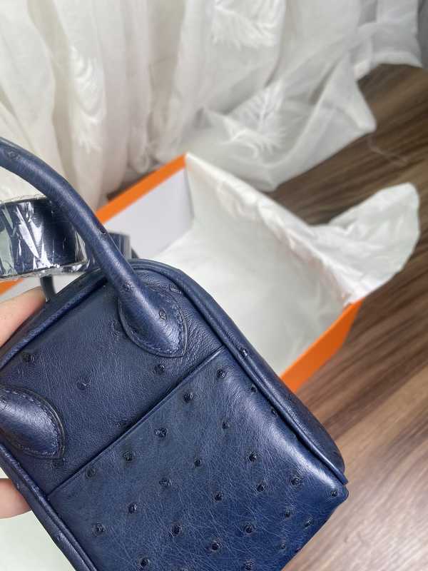 Ostrich Lindy 19 Ostrich Lindy 19