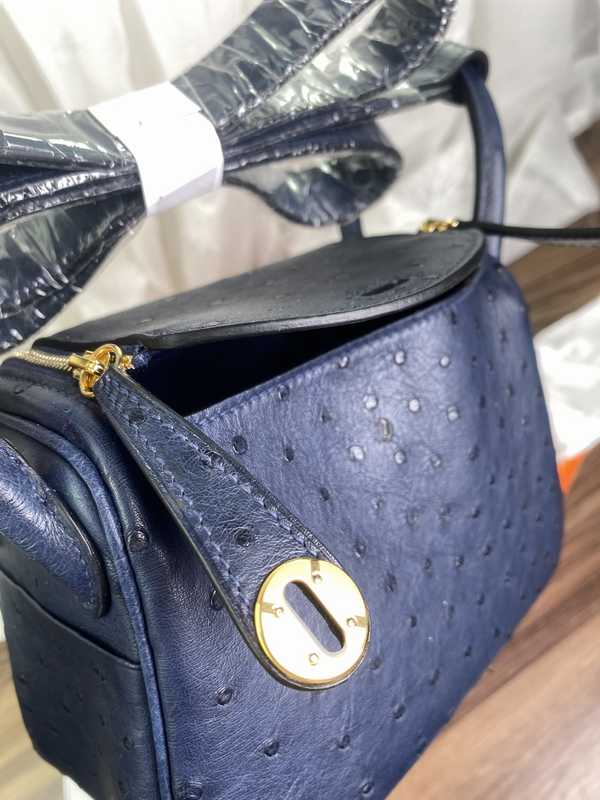 Ostrich Lindy 19 Ostrich Lindy 19