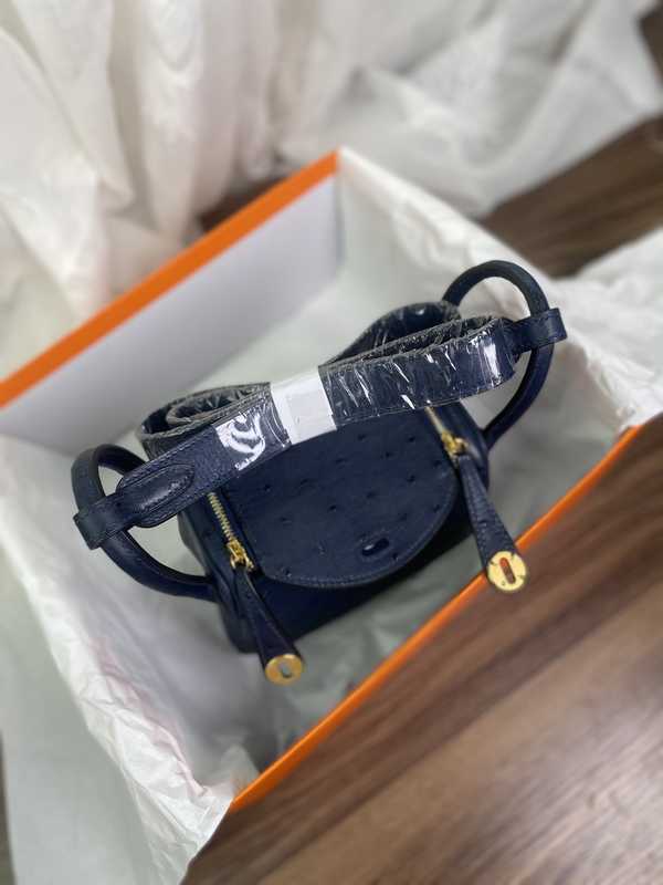 Ostrich Lindy 19 Ostrich Lindy 19