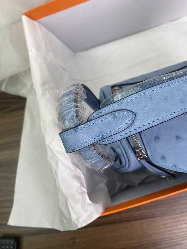 Ostrich Lindy 19 Ostrich Lindy 19