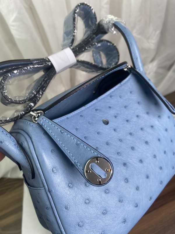 Ostrich Lindy 19 Ostrich Lindy 19