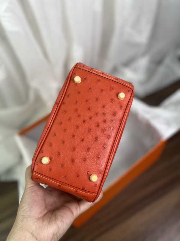 Ostrich Lindy 19 Ostrich Lindy 19