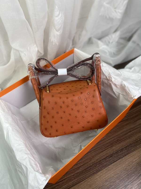 Ostrich Lindy 19 Ostrich Lindy 19