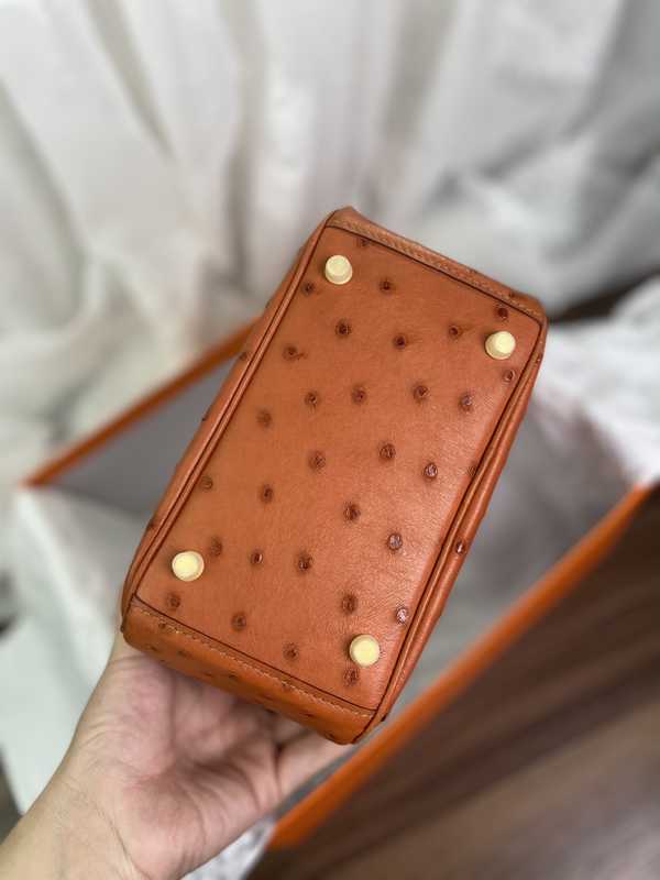 Ostrich Lindy 19 Ostrich Lindy 19