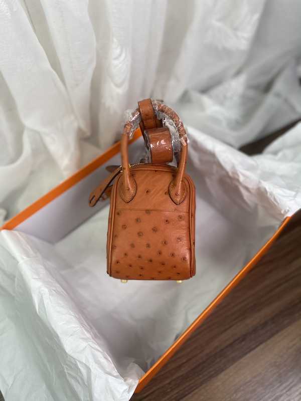 Ostrich Lindy 19 Ostrich Lindy 19