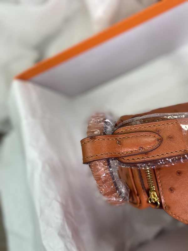 Ostrich Lindy 19 Ostrich Lindy 19