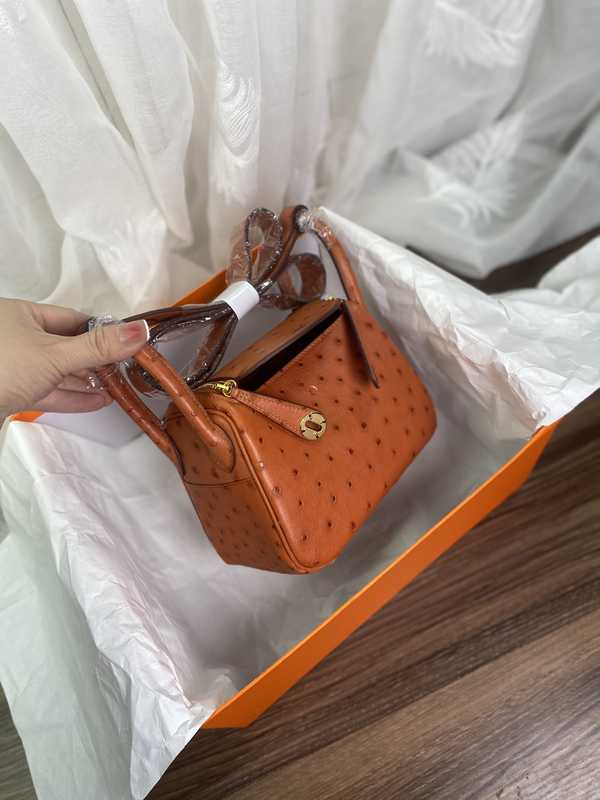 Ostrich Lindy 19 Ostrich Lindy 19
