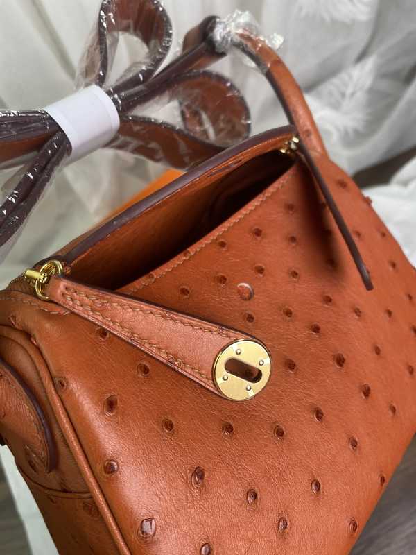 Ostrich Lindy 19 Ostrich Lindy 19
