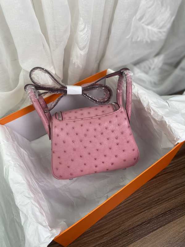 Ostrich Lindy 19 Ostrich Lindy 19
