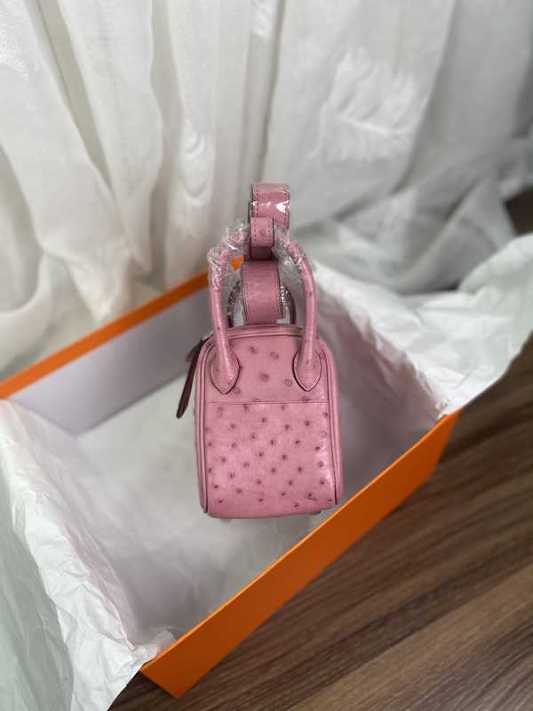 Ostrich Lindy 19 Ostrich Lindy 19