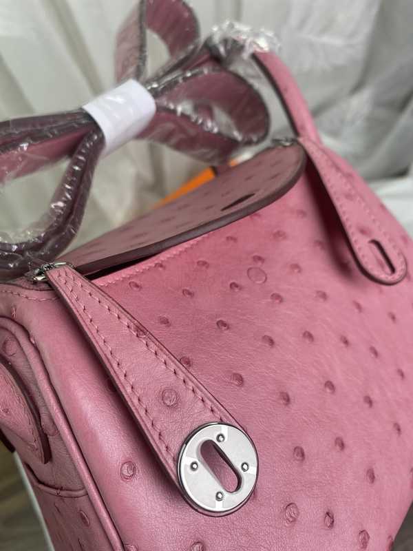 Ostrich Lindy 19 Ostrich Lindy 19