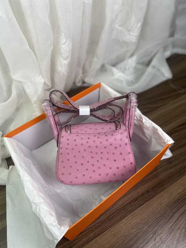 Ostrich Lindy 19 Ostrich Lindy 19