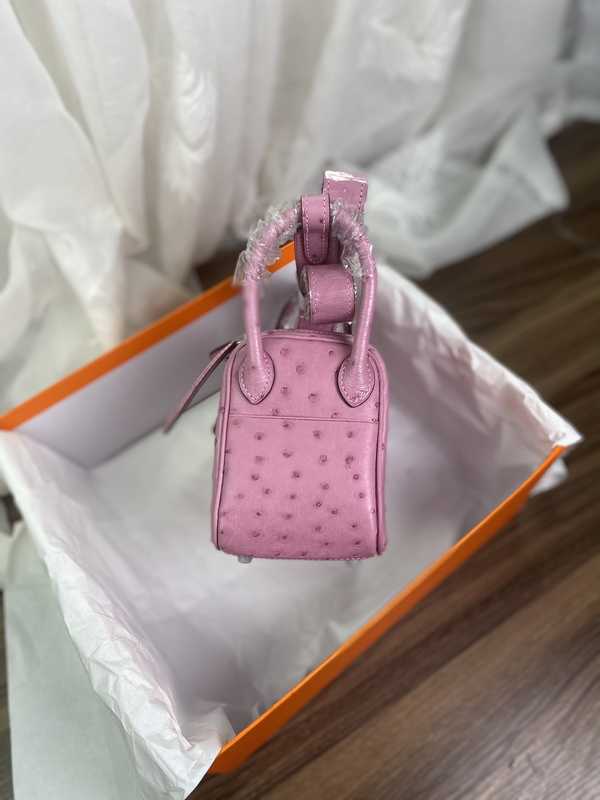 Ostrich Lindy 19 Ostrich Lindy 19