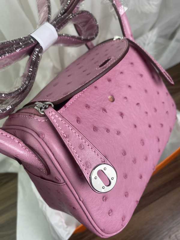 Ostrich Lindy 19 Ostrich Lindy 19