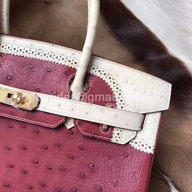 Ostrich Lace 35 Ostrich Lace 35
