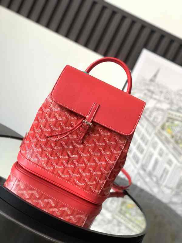 GOYARD Alpin Backpack Mini 020195 23