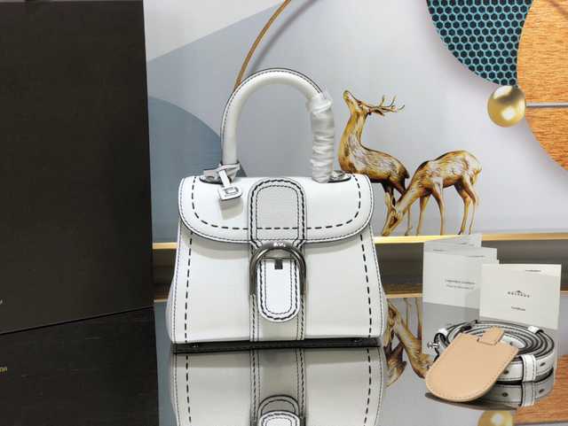 DF0020 Delvaux Le Brillant 20