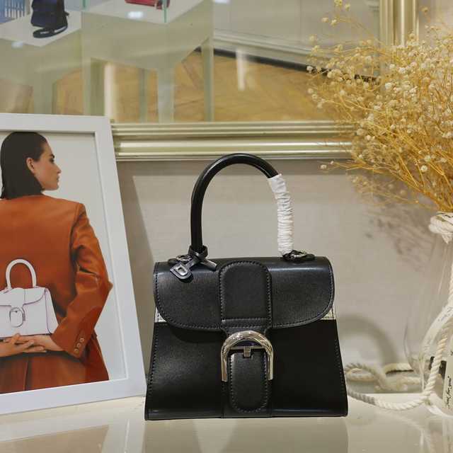 Delvaux Brillan 20