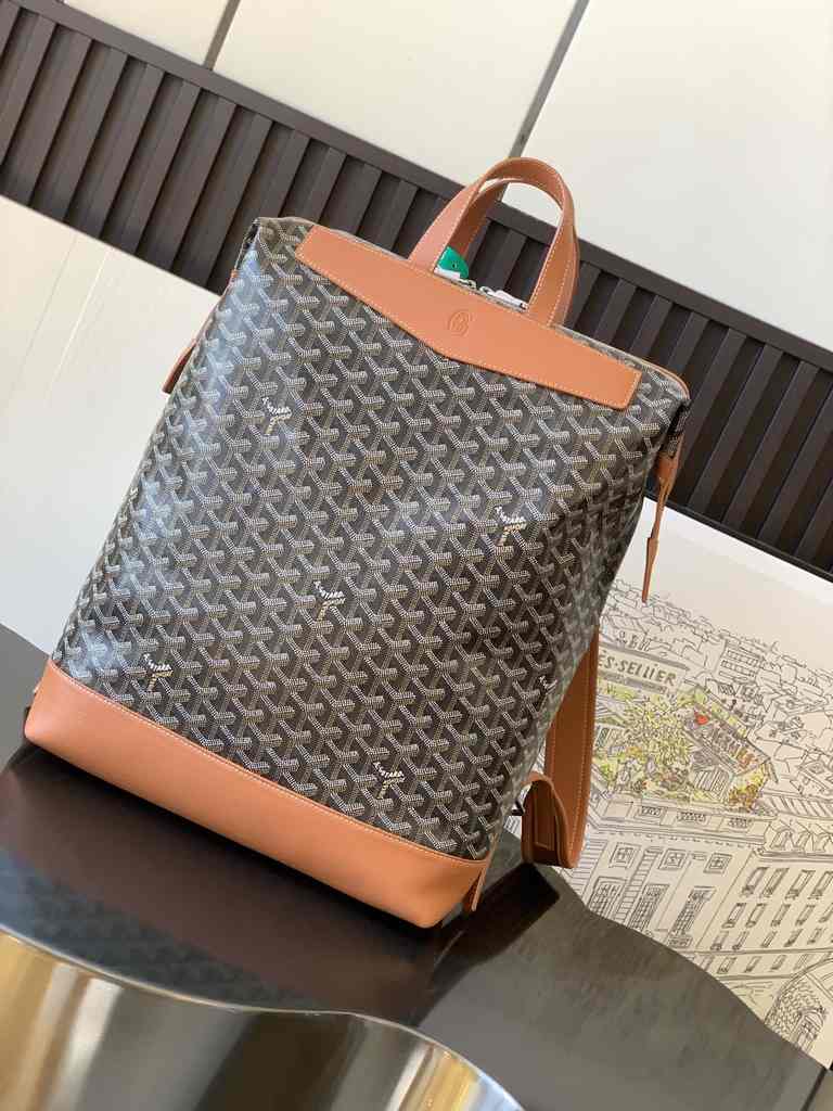 GOYARD Cisalpin 020153 43