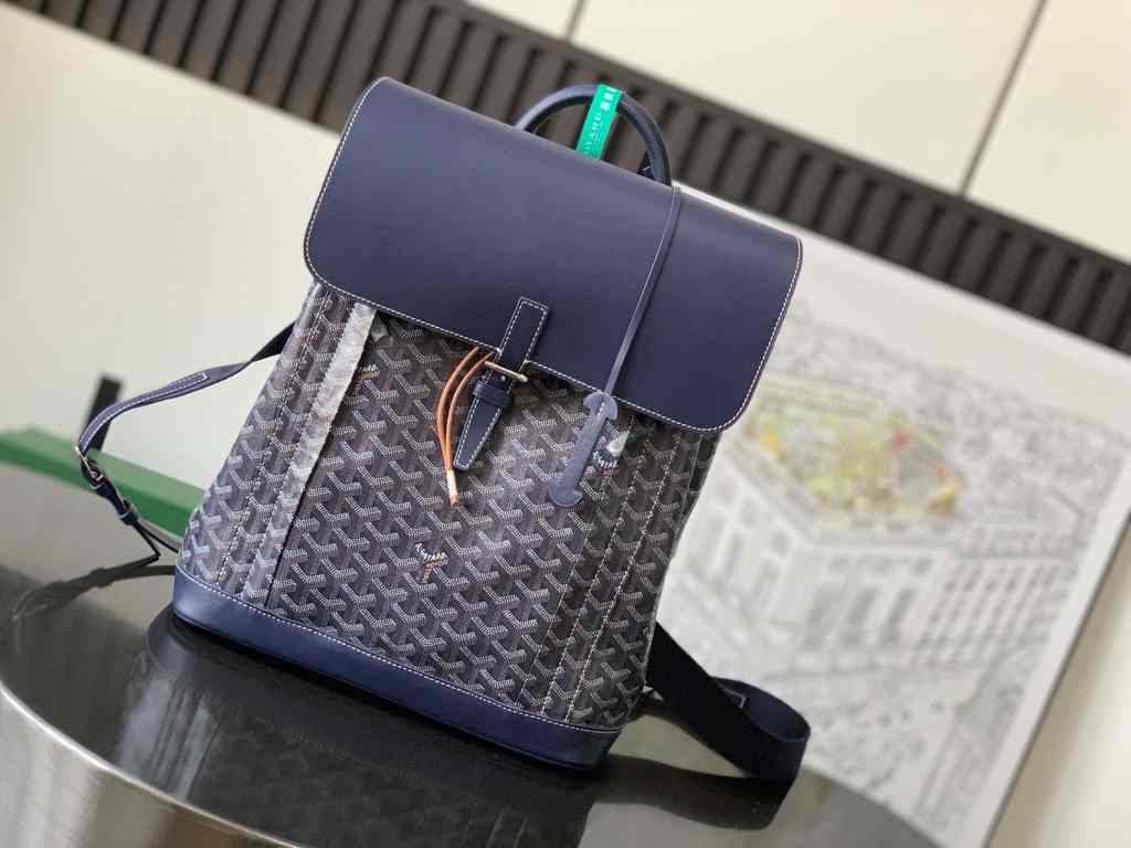 GOYARD Alpin 020193 39