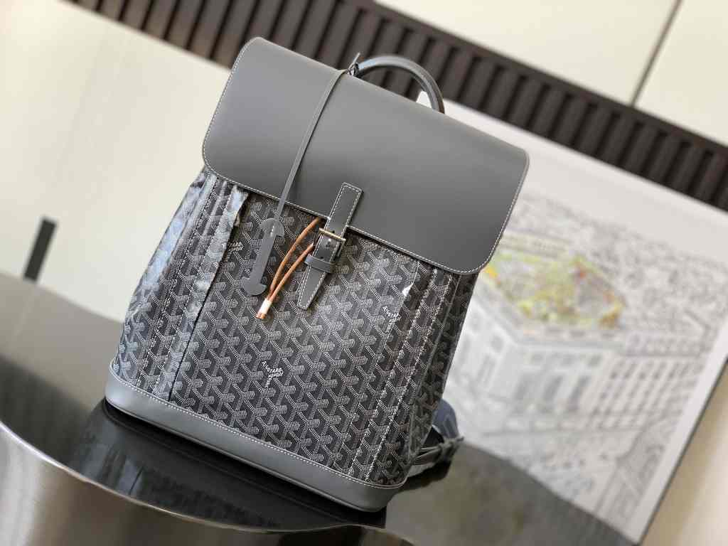 GOYARD Alpin 020193 39