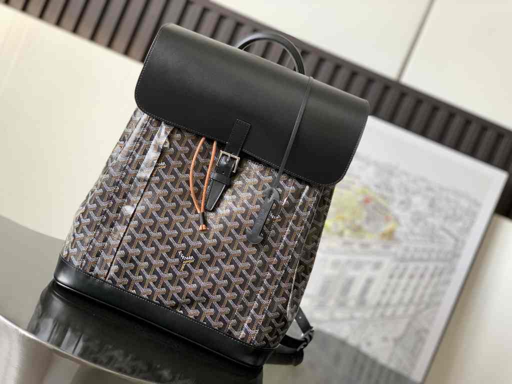 GOYARD Alpin 020193 39