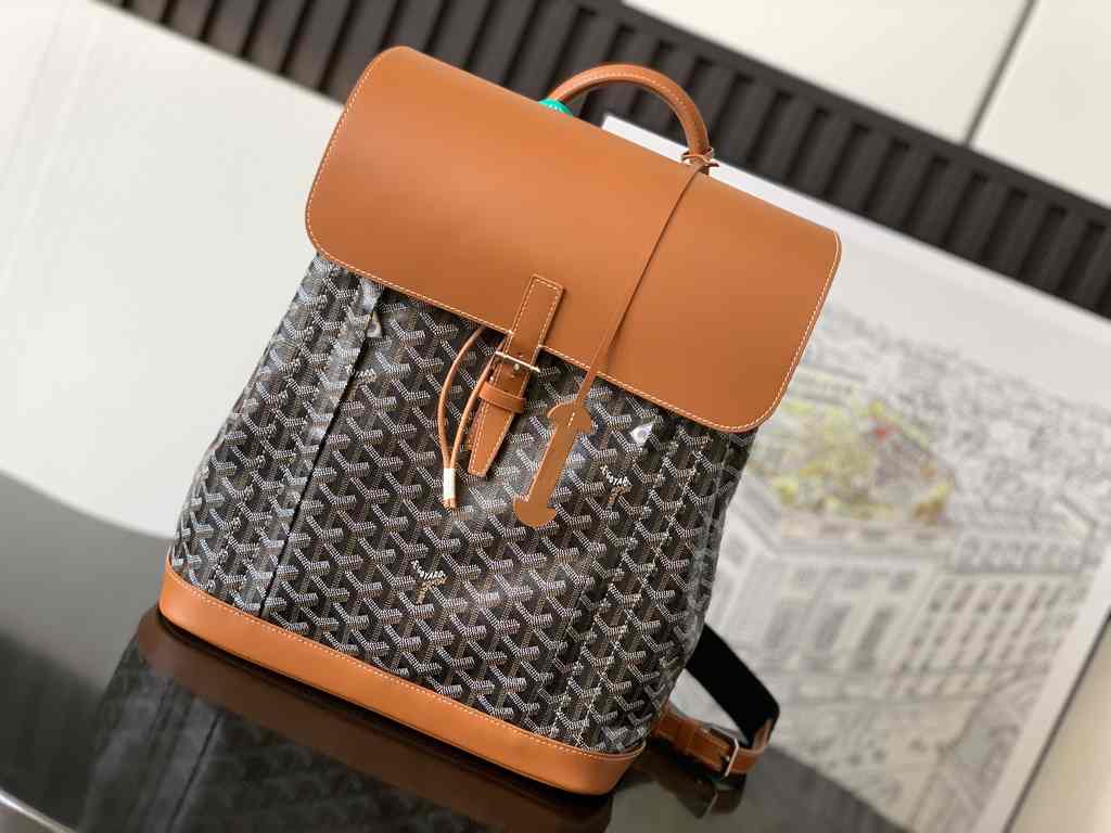 GOYARD Alpin 020193 39