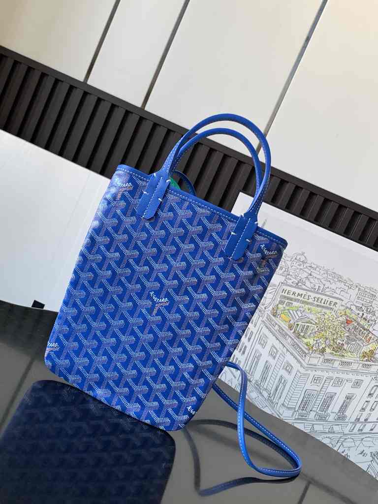 GOYARD Poitiers 020157 24