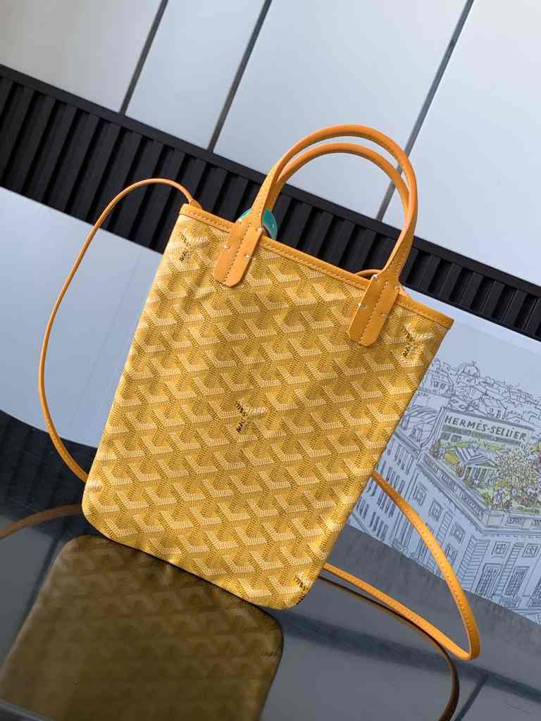 GOYARD Poitiers 020157 24