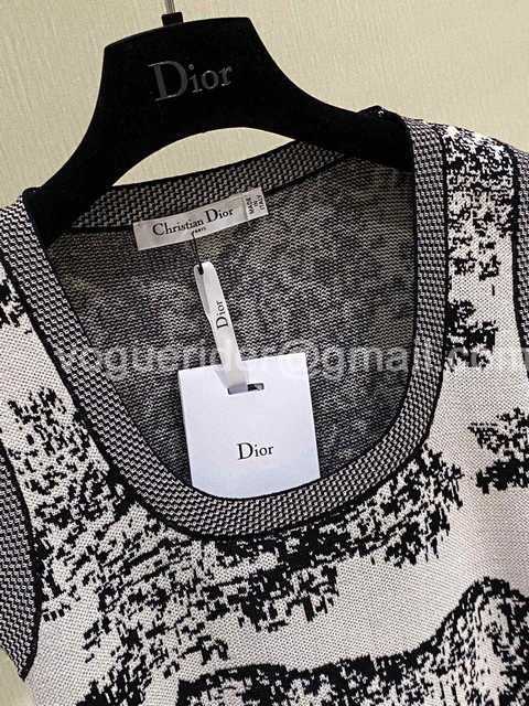 Dior costume Dior costume