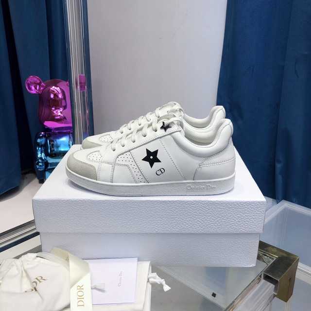 Dior Logo canvas