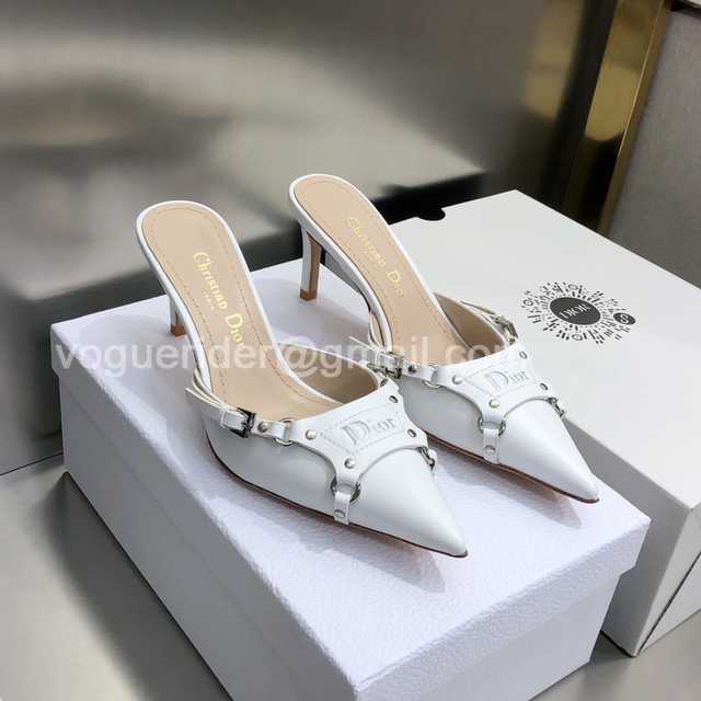 Dior 2022 Mules Dior 2022 Mules