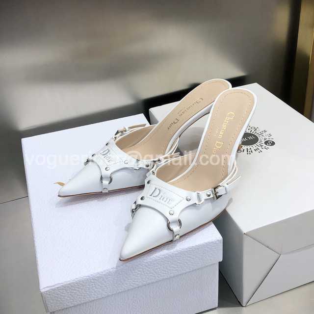Dior 2022 Mules Dior 2022 Mules