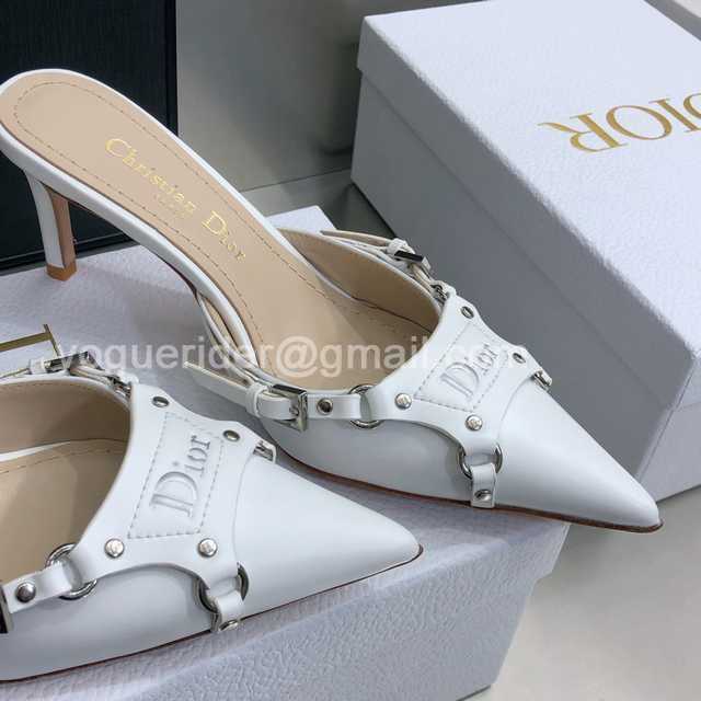 Dior 2022 Mules Dior 2022 Mules