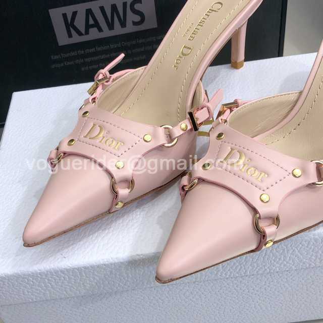 Dior 2022 Mules Dior 2022 Mules
