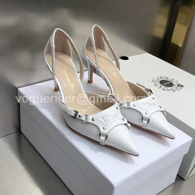Dior 2022 Mules Dior 2022 Mules