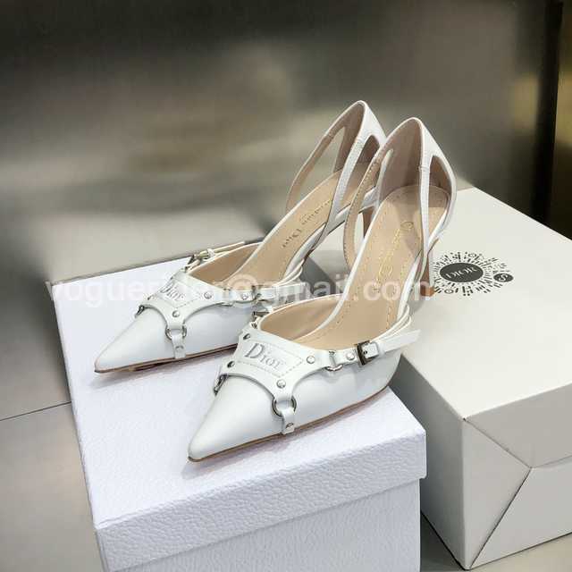 Dior 2022 Mules Dior 2022 Mules