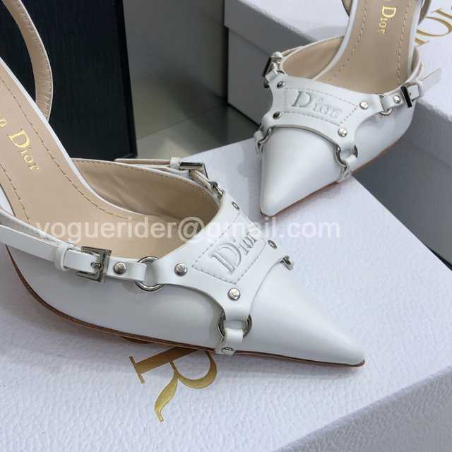 Dior 2022 Mules Dior 2022 Mules