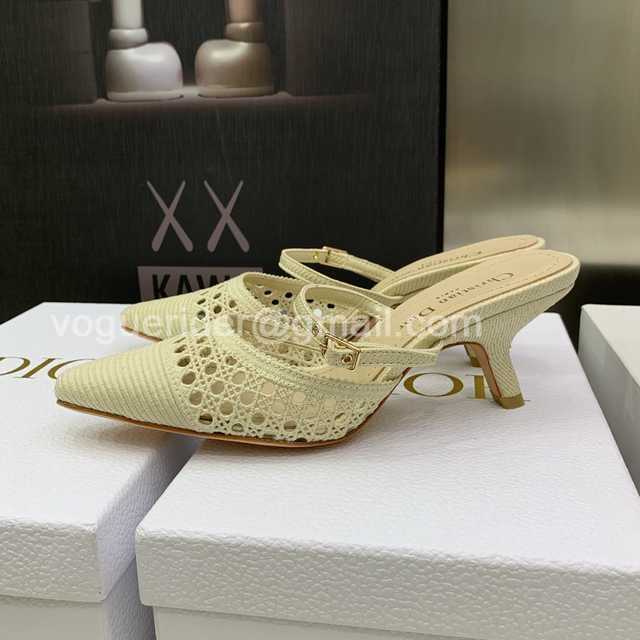 Dior Capture Dior Capture