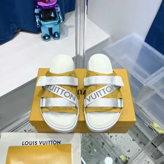 Louis Vuitton 2021 delux