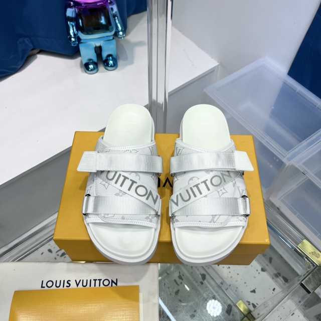 Louis Vuitton 2021 delux