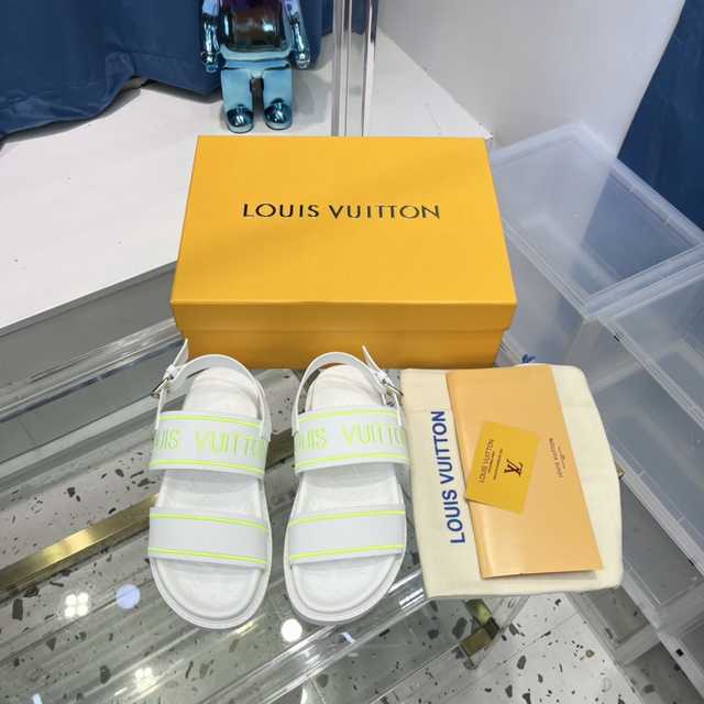 Louis Vuitton 22ss monogram