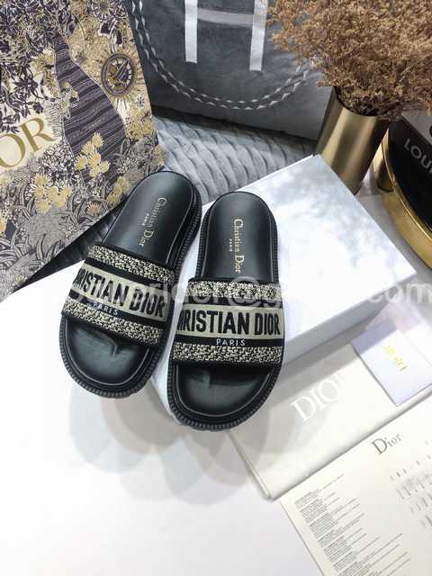 Dior 2021 Reverse Dior 2021 Reverse
