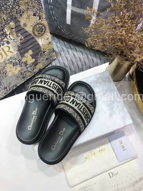 Dior 2021 Reverse Dior 2021 Reverse