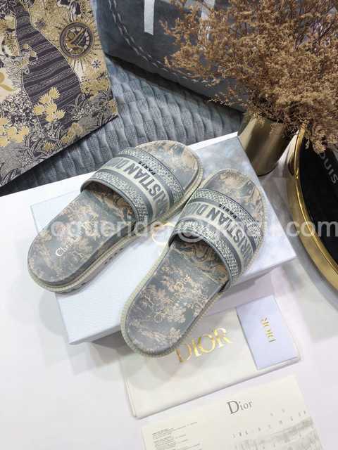 Dior 2021 Reverse Dior 2021 Reverse