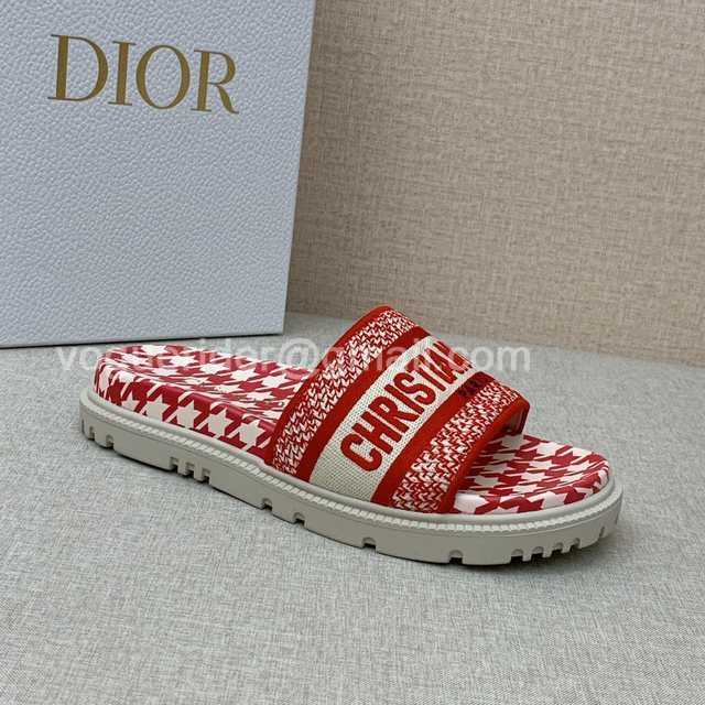 Dior 2021 Reverse Dior 2021 Reverse