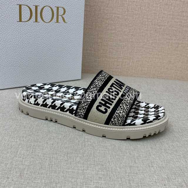 Dior 2021 Reverse Dior 2021 Reverse