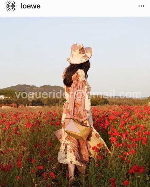CA10028 Loewe CA10028 Loewe